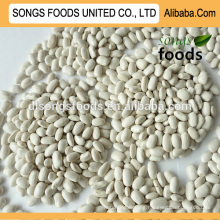 Dubai white kidney beans buyer